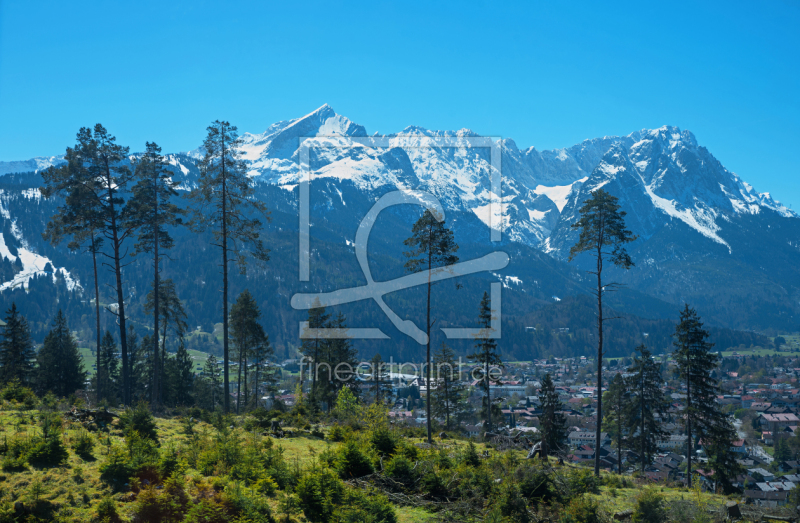 frei wählbarer Bildausschnitt für Ihr Bild auf Fensterfolie