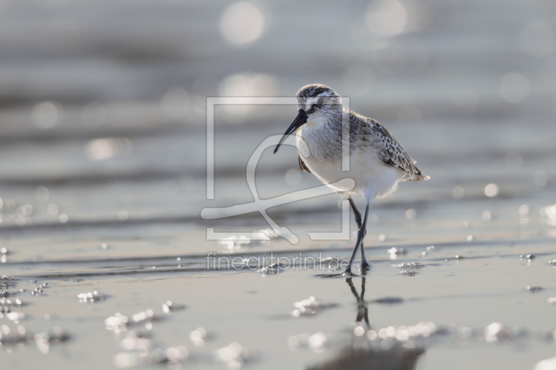 frei wählbarer Bildausschnitt für Ihr Bild auf Fensterfolie