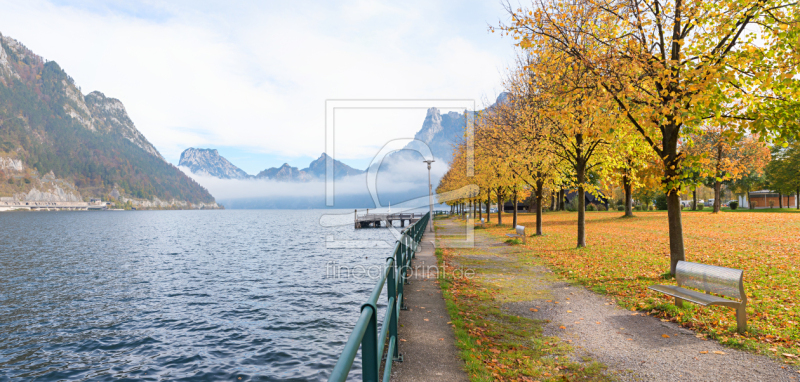 frei wählbarer Bildausschnitt für Ihr Bild auf Fensterfolie