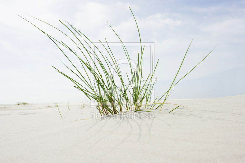 frei wählbarer Bildausschnitt für Ihr Bild auf Fensterfolie