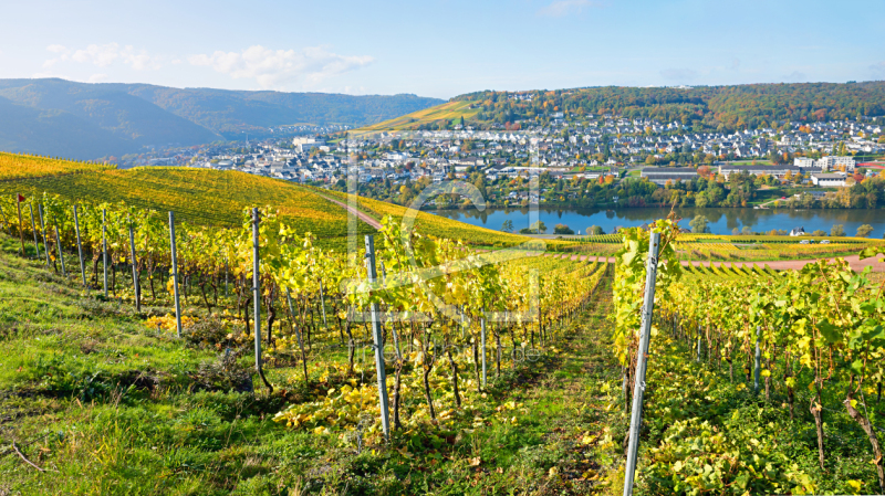 frei wählbarer Bildausschnitt für Ihr Bild auf Fensterfolie