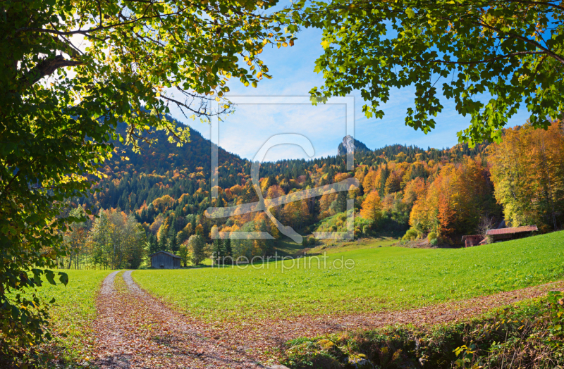 frei wählbarer Bildausschnitt für Ihr Bild auf Fensterfolie