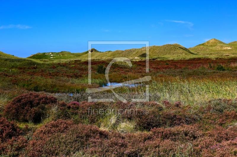 frei wählbarer Bildausschnitt für Ihr Bild auf Fensterfolie