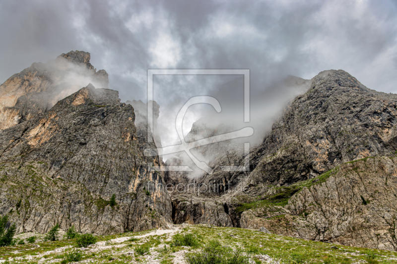 frei wählbarer Bildausschnitt für Ihr Bild auf Fensterfolie