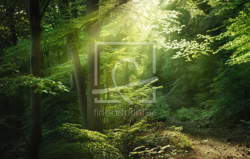 frei wählbarer Bildausschnitt für Ihr Bild auf Fensterfolie