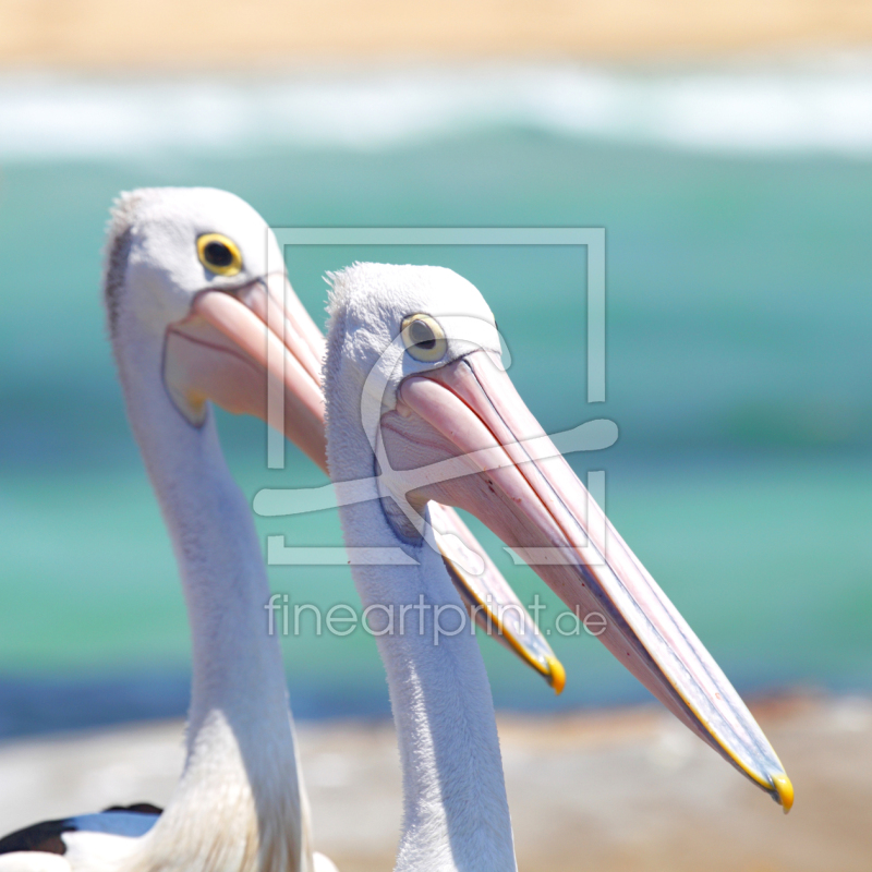 frei wählbarer Bildausschnitt für Ihr Bild auf Fensterfolie