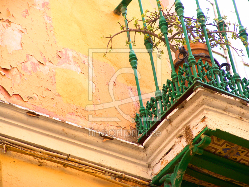 frei wählbarer Bildausschnitt für Ihr Bild auf Fensterfolie