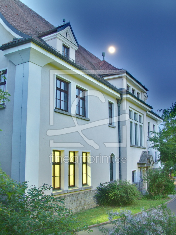 frei wählbarer Bildausschnitt für Ihr Bild auf Fensterfolie