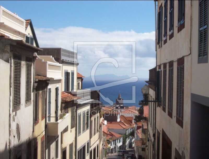 frei wählbarer Bildausschnitt für Ihr Bild auf Fensterfolie