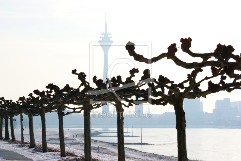 frei wählbarer Bildausschnitt für Ihr Bild auf Fensterfolie