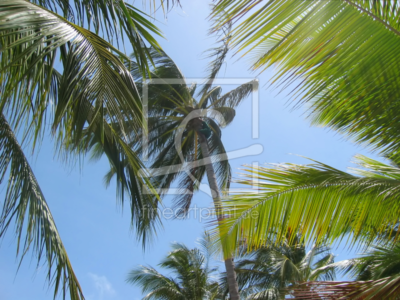 frei wählbarer Bildausschnitt für Ihr Bild auf Fensterfolie