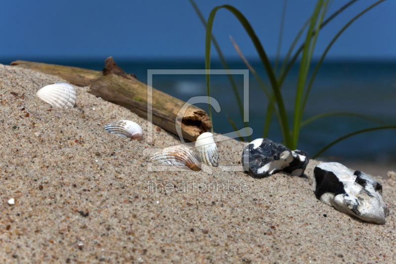 frei wählbarer Bildausschnitt für Ihr Bild auf Fensterfolie