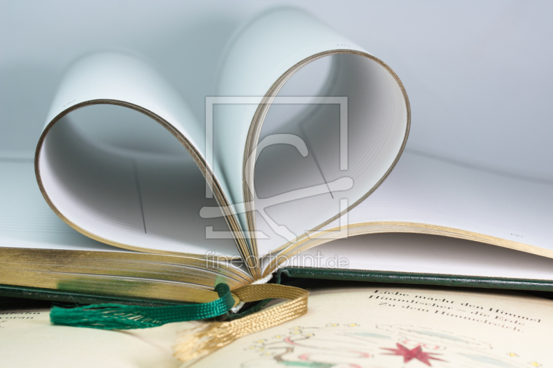 frei wählbarer Bildausschnitt für Ihr Bild auf Fensterfolie