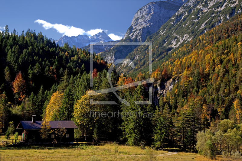 frei wählbarer Bildausschnitt für Ihr Bild auf Fensterfolie