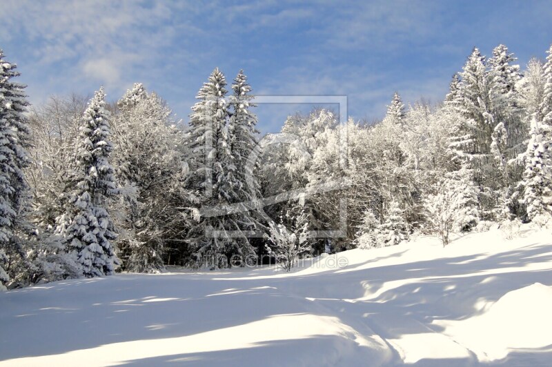 frei wählbarer Bildausschnitt für Ihr Bild auf Fensterfolie