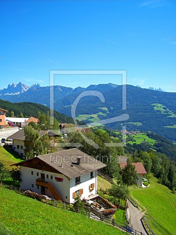 frei wählbarer Bildausschnitt für Ihr Bild auf Fensterfolie