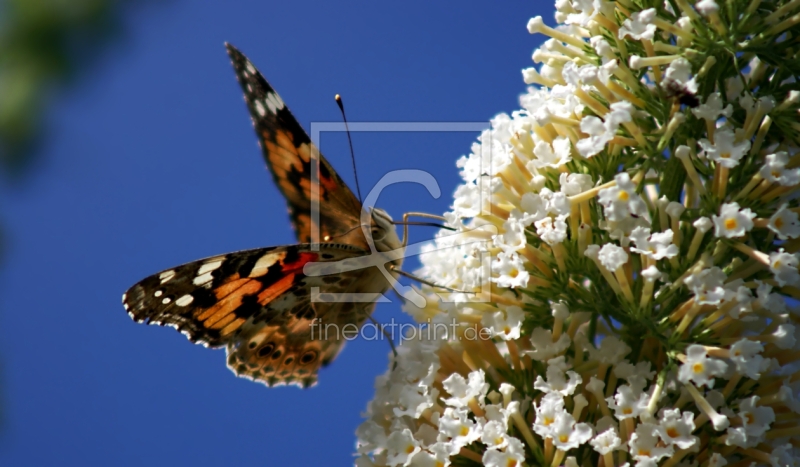 frei wählbarer Bildausschnitt für Ihr Bild auf Glas-Schneidebrett