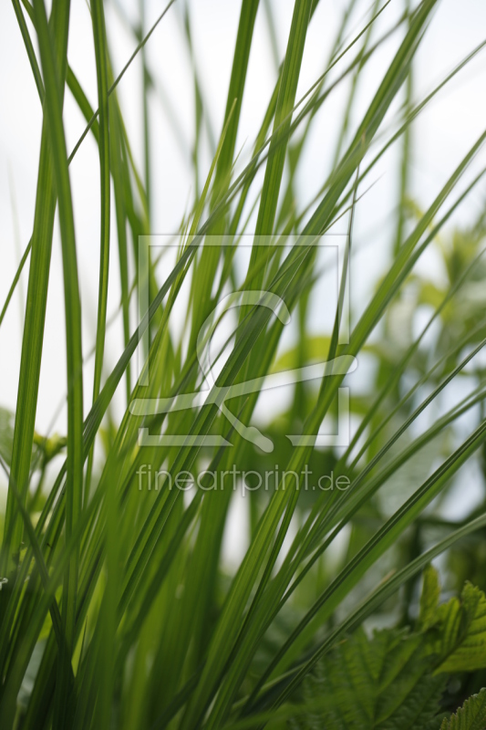 frei wählbarer Bildausschnitt für Ihr Bild auf Glas-Schneidebrett