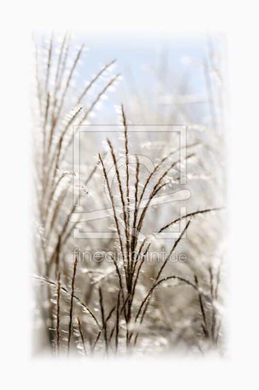 frei wählbarer Bildausschnitt für Ihr Bild auf Glas-Schneidebrett