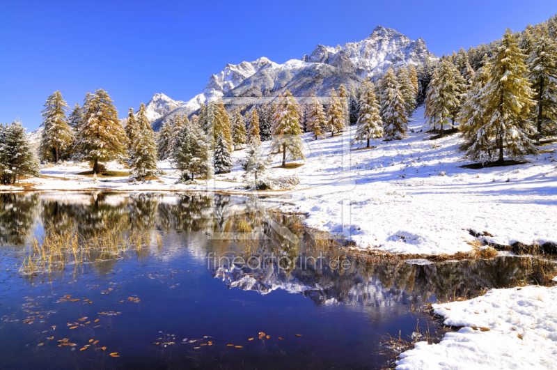 frei wählbarer Bildausschnitt für Ihr Bild auf Glas-Schneidebrett