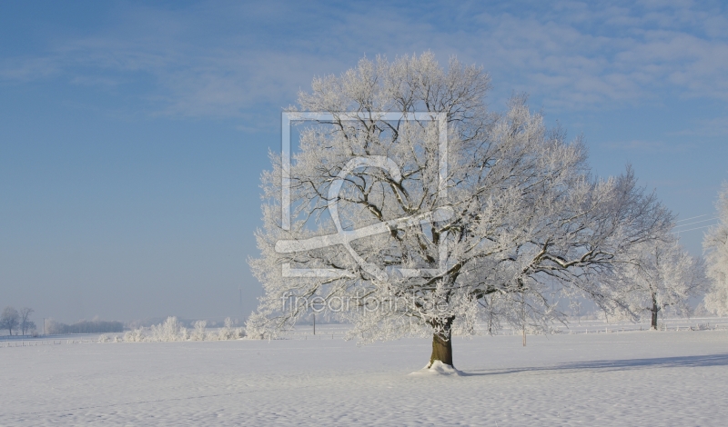 frei wählbarer Bildausschnitt für Ihr Bild auf Glas-Schneidebrett