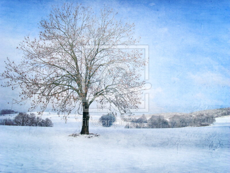 frei wählbarer Bildausschnitt für Ihr Bild auf Glas-Schneidebrett