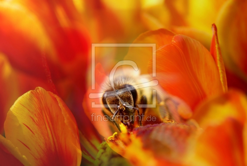 frei wählbarer Bildausschnitt für Ihr Bild auf Glas-Schneidebrett