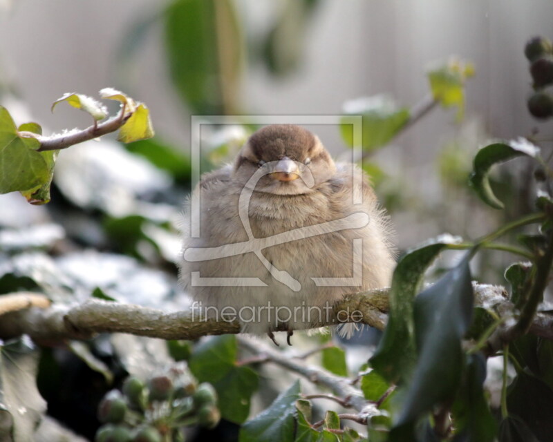 frei wählbarer Bildausschnitt für Ihr Bild auf Glas-Schneidebrett