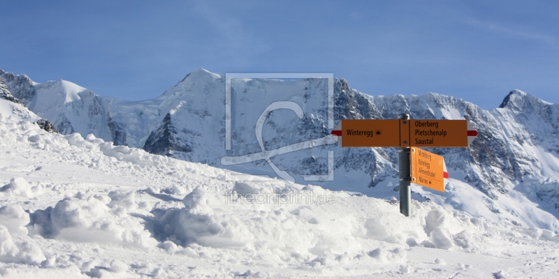 frei wählbarer Bildausschnitt für Ihr Bild auf Glas-Schneidebrett