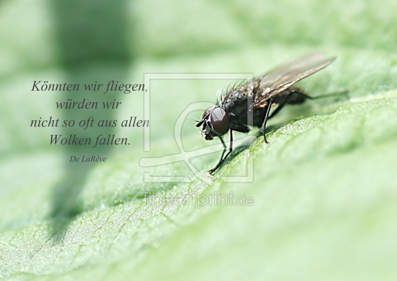 frei wählbarer Bildausschnitt für Ihr Bild auf Glas-Schneidebrett