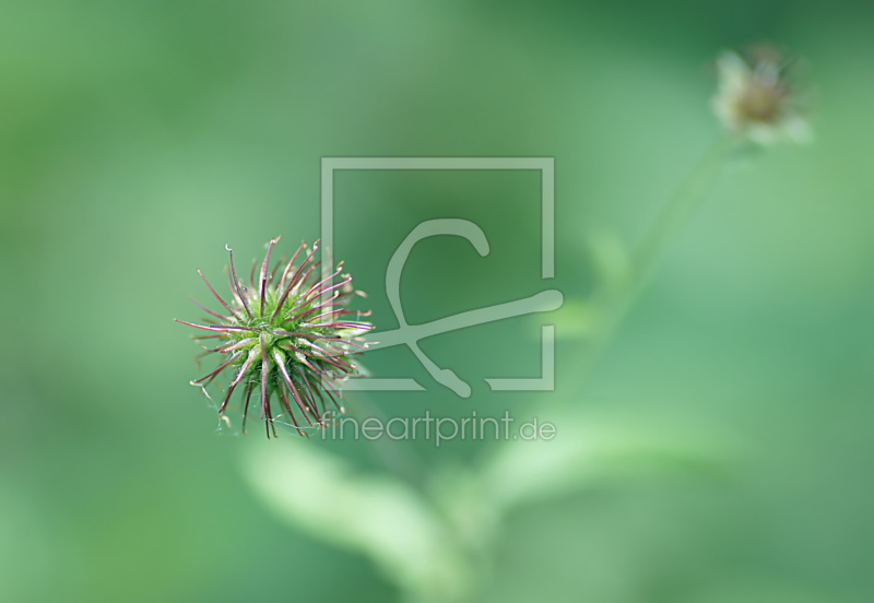 frei wählbarer Bildausschnitt für Ihr Bild auf Glas-Schneidebrett