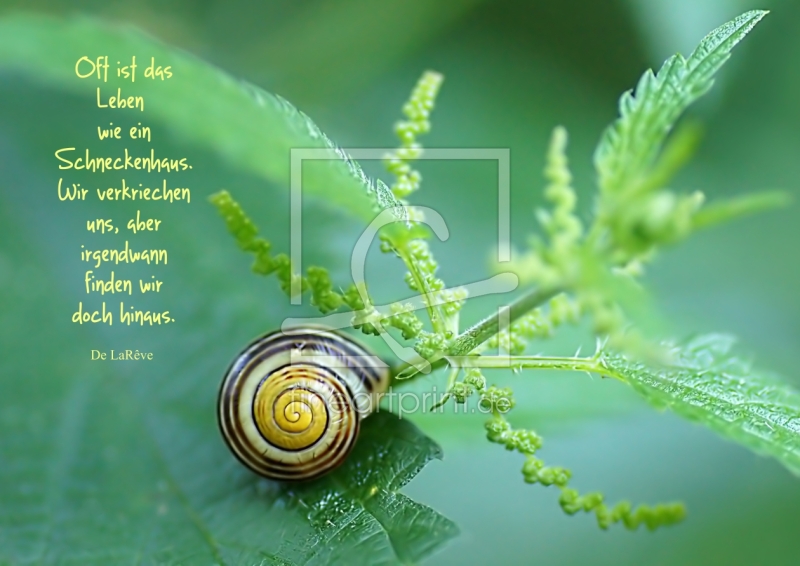 frei wählbarer Bildausschnitt für Ihr Bild auf Glas-Schneidebrett