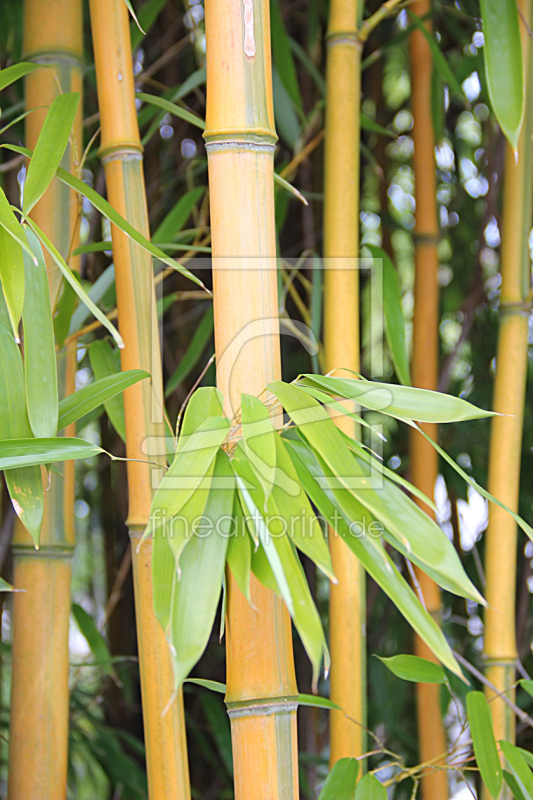 frei wählbarer Bildausschnitt für Ihr Bild auf Glas-Schneidebrett
