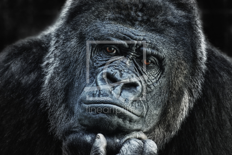 frei wählbarer Bildausschnitt für Ihr Bild auf Glas-Schneidebrett