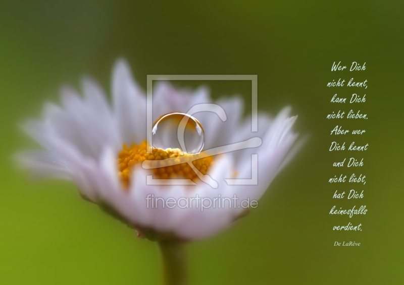 frei wählbarer Bildausschnitt für Ihr Bild auf Glas-Schneidebrett