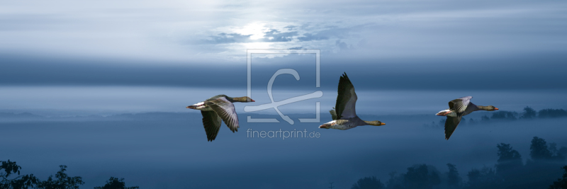 frei wählbarer Bildausschnitt für Ihr Bild auf Glas-Schneidebrett