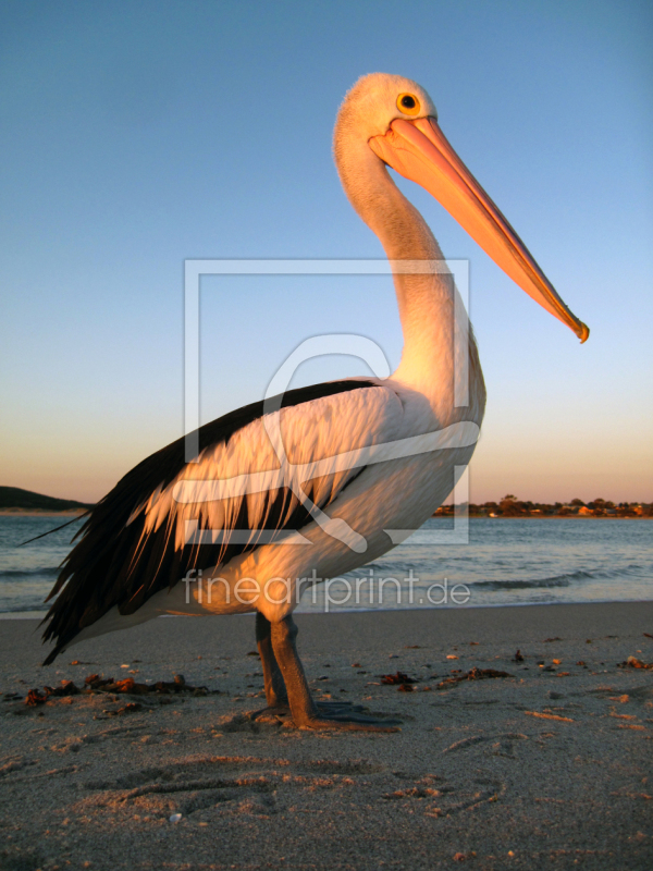 frei wählbarer Bildausschnitt für Ihr Bild auf Glas-Schneidebrett