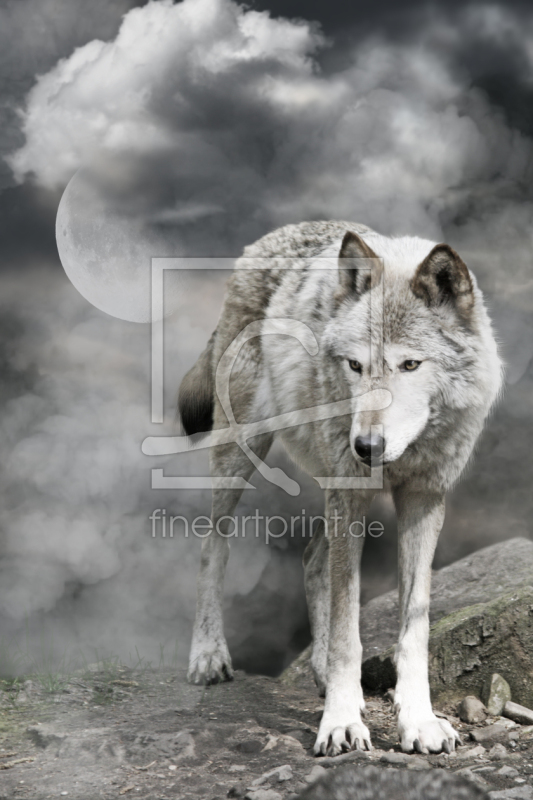 frei wählbarer Bildausschnitt für Ihr Bild auf Glas-Schneidebrett