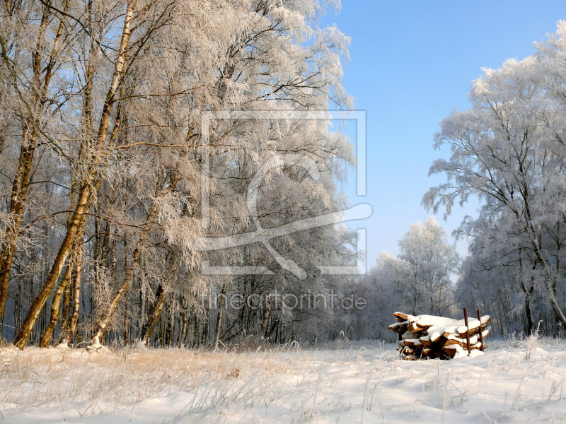 frei wählbarer Bildausschnitt für Ihr Bild auf Glas-Schneidebrett