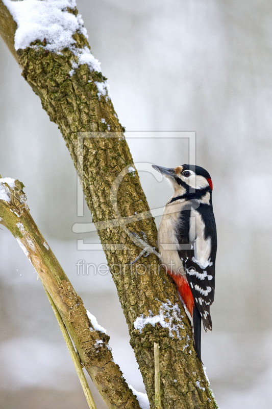 frei wählbarer Bildausschnitt für Ihr Bild auf Glas-Schneidebrett