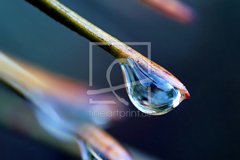 frei wählbarer Bildausschnitt für Ihr Bild auf Glas-Schneidebrett