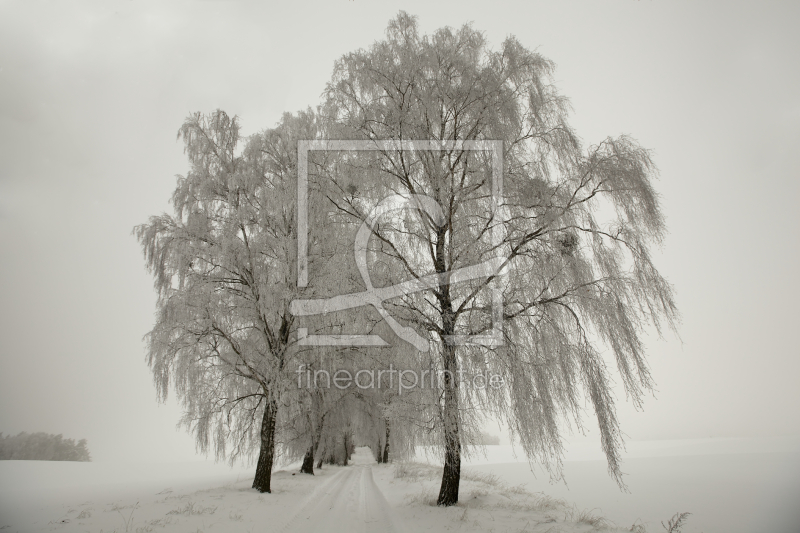 frei wählbarer Bildausschnitt für Ihr Bild auf Glas-Schneidebrett