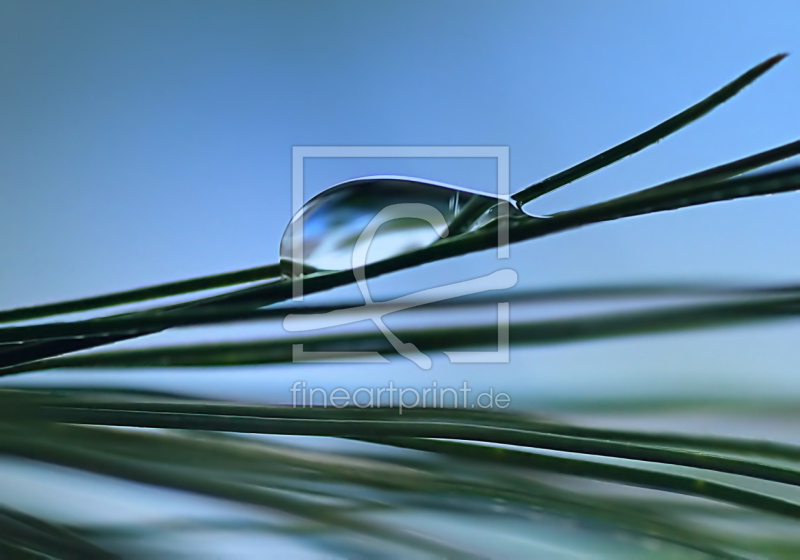 frei w&auml;hlbarer Bildausschnitt f&uuml;r Ihr Bild auf Glas-Schneidebrett