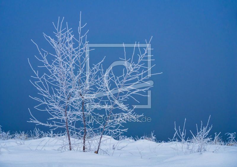 frei wählbarer Bildausschnitt für Ihr Bild auf Glas-Schneidebrett