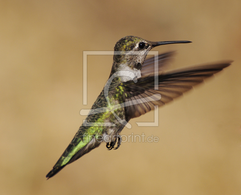 frei wählbarer Bildausschnitt für Ihr Bild auf Glas-Schneidebrett