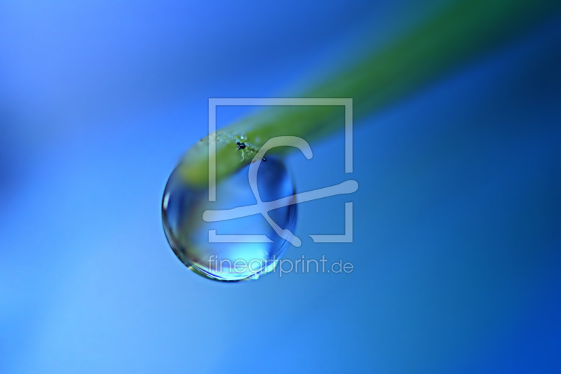 frei wählbarer Bildausschnitt für Ihr Bild auf Glas-Schneidebrett