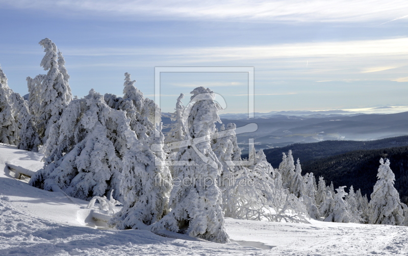 frei wählbarer Bildausschnitt für Ihr Bild auf Glas-Schneidebrett