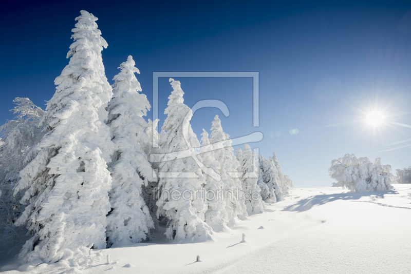 frei wählbarer Bildausschnitt für Ihr Bild auf Glas-Schneidebrett