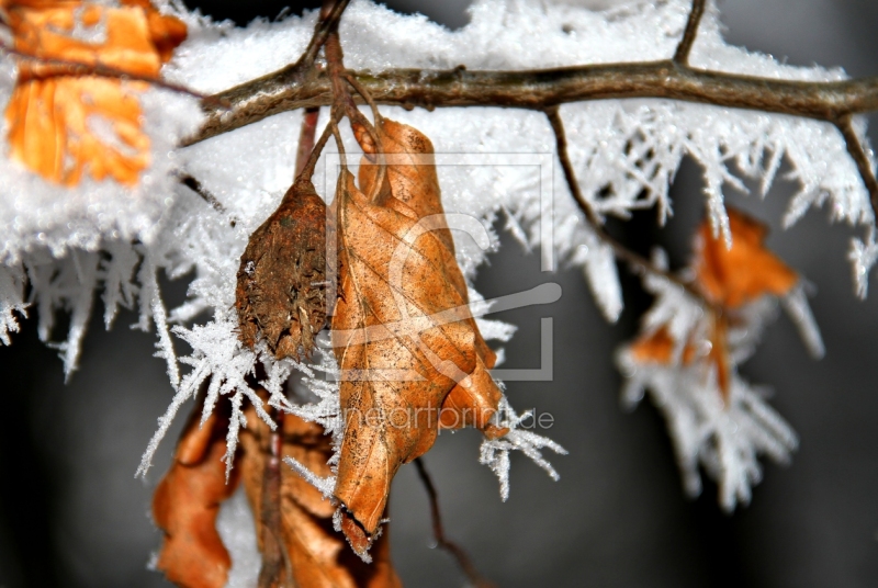 frei wählbarer Bildausschnitt für Ihr Bild auf Glas-Schneidebrett