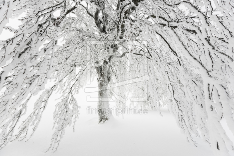 frei wählbarer Bildausschnitt für Ihr Bild auf Glas-Schneidebrett